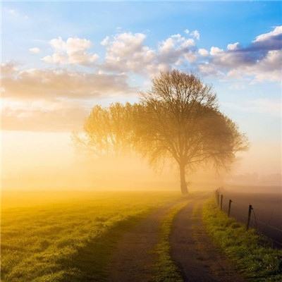 押注篮球的app下载手机版